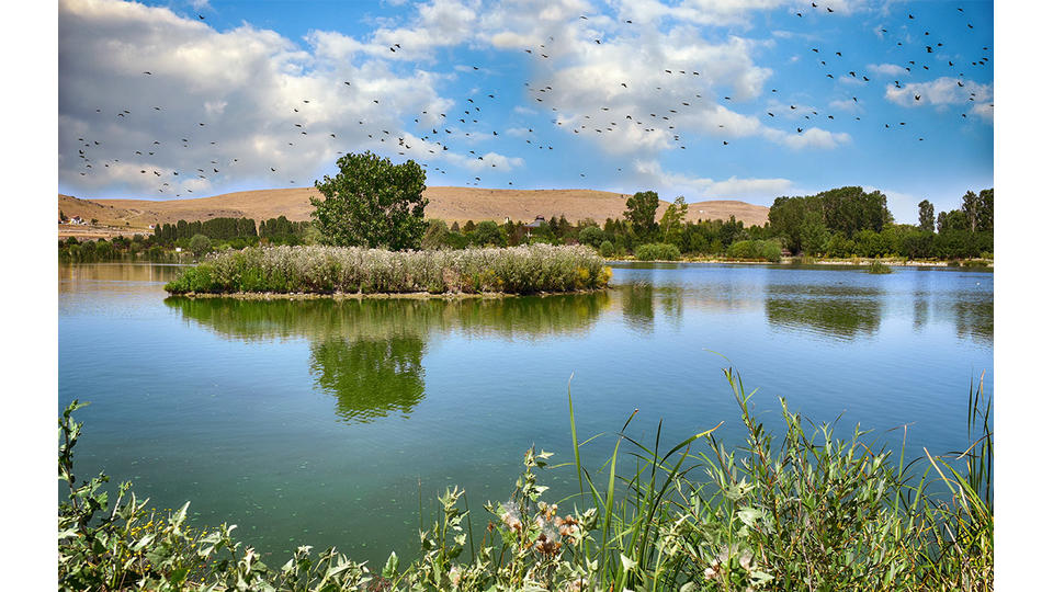 26 Ağustos Tabiat Parkı