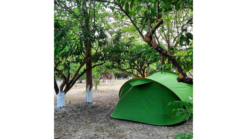 Begonvil Türkbükü Camping