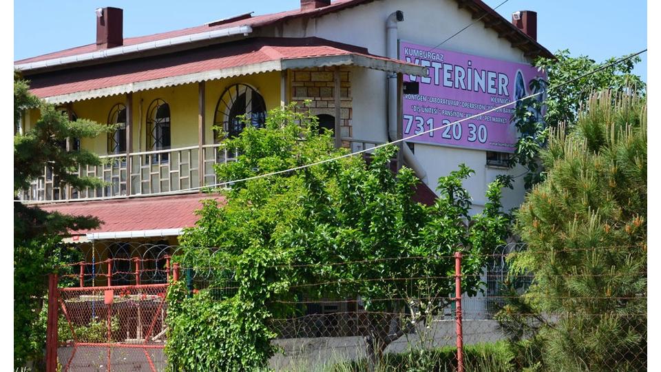 Kumburgaz Veteriner Kliniği