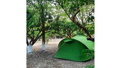 Begonvil Türkbükü Camping