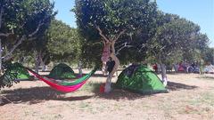 Bodrum Ecofarm Camping