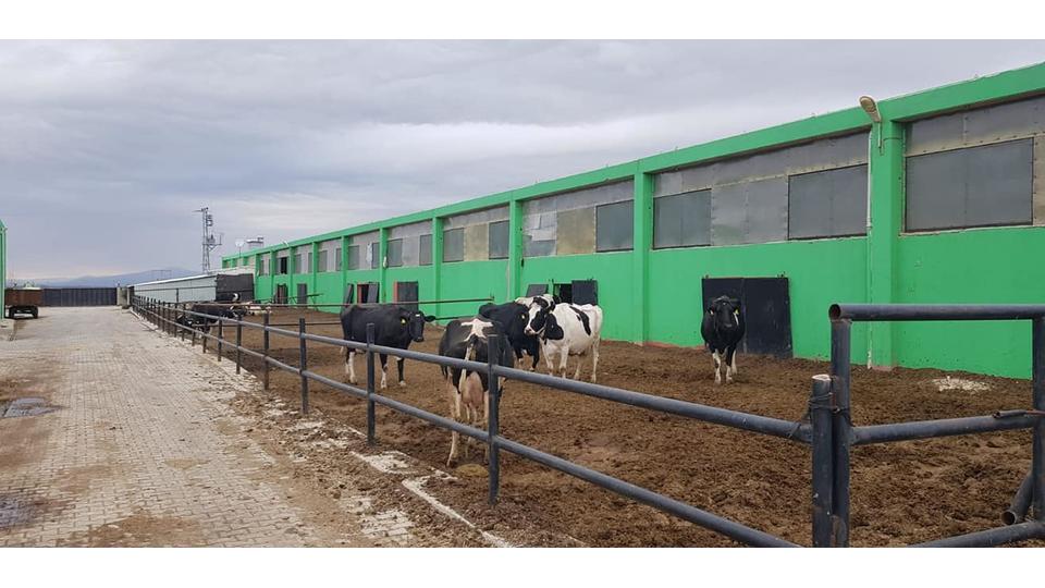 Zamane Süt Çiftliği